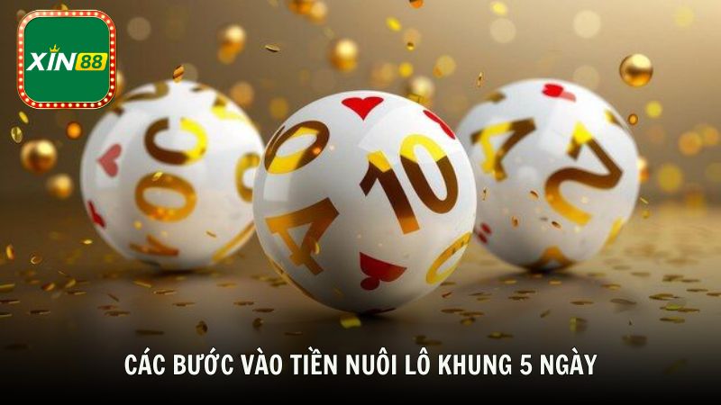 Các bước triển khai cách vào tiền nuôi lô khung 5 ngày