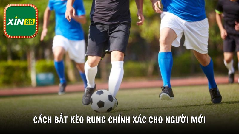 Cách bắt kèo rung chính xác cho người mới