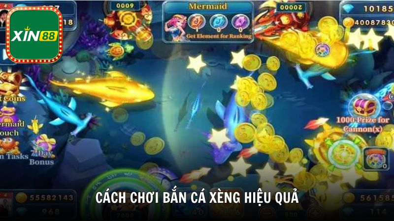 Cách chơi bắn cá Xèng hiệu quả dành cho người mới