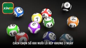Cách chọn số khi nuôi lô kép khung 3 ngày