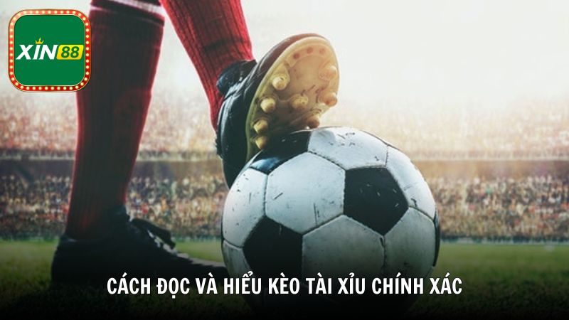 Cách đọc và hiểu kèo Tài Xỉu chính xác