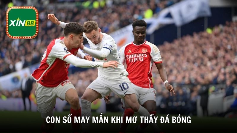 Con số may mắn khi mơ thấy đá bóng