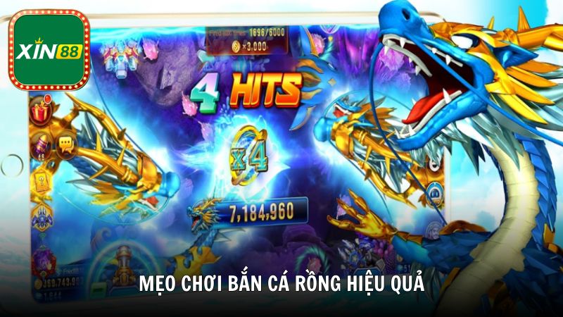 Mẹo chơi bắn cá Rồng hiệu quả từ cao thủ Xin88