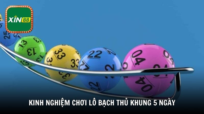 Kinh nghiệm chơi lô bạch thủ khung 5 ngày từ cao thủ