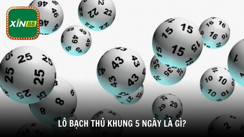 Lô bạch thủ khung 5 ngày là gì?