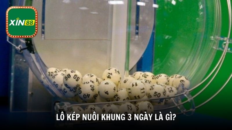 Lô kép nuôi khung 3 ngày là gì?