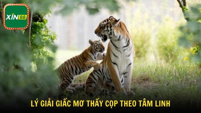 Lý giải giấc mơ thấy cọp theo tâm linh và phong thủy