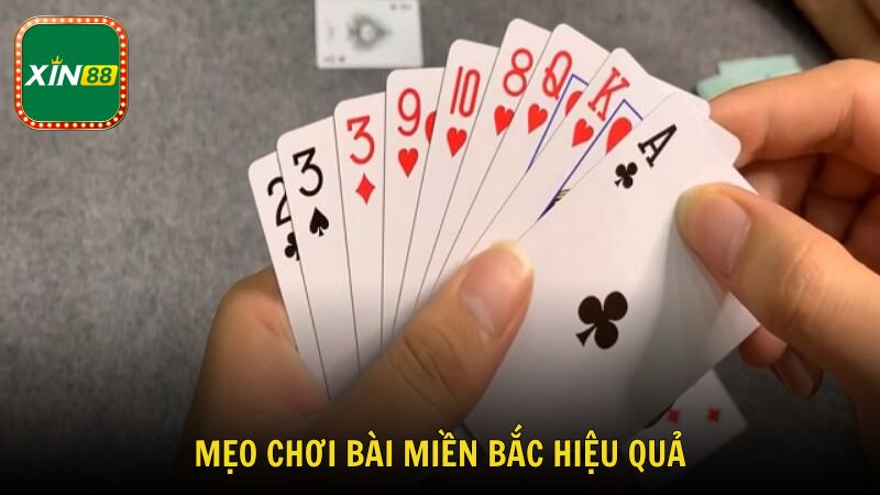 Tìm hiểu mẹo chơi bài miền Bắc hiệu quả từ cao thủ