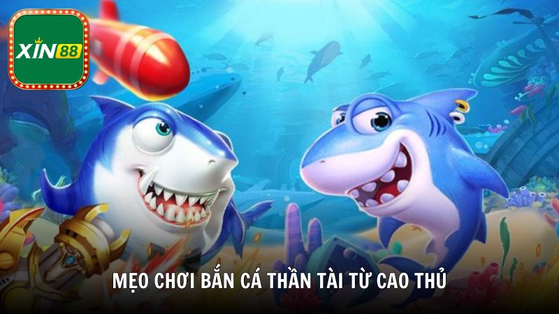 Mẹo chơi bắn cá Thần Tài từ cao thủ hàng đầu của Xin88