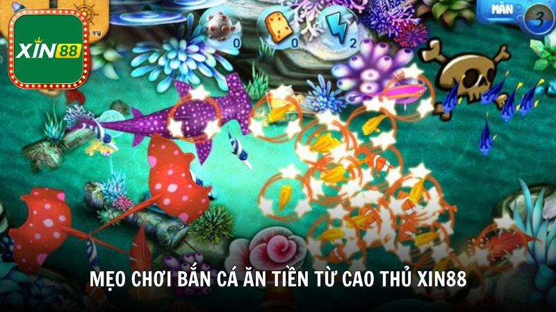 Mẹo chơi bắn cá ăn tiền từ cao thủ Xin88