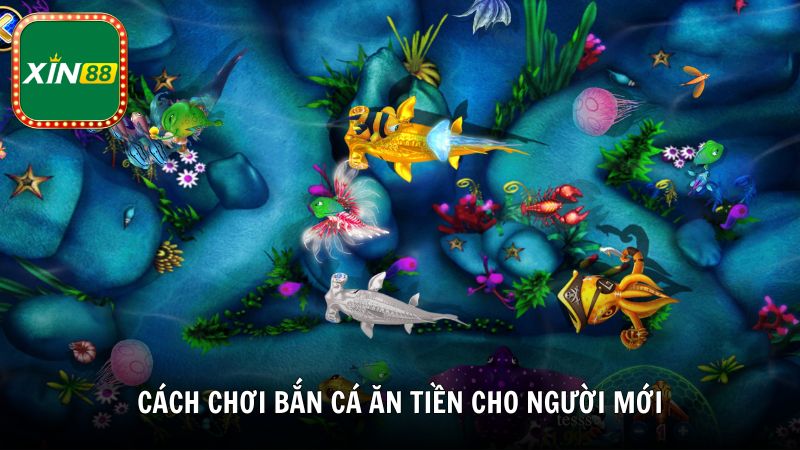 Cách chơi bắn cá ăn tiền chi tiết cho người mới