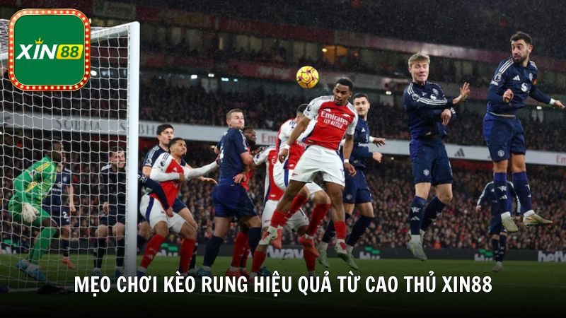 Mẹo chơi kèo rung hiệu quả từ cao thủ Xin88
