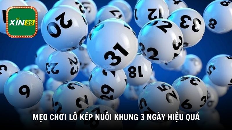 Kinh nghiệm nuôi lô kép khung 3 ngày từ cao thủ