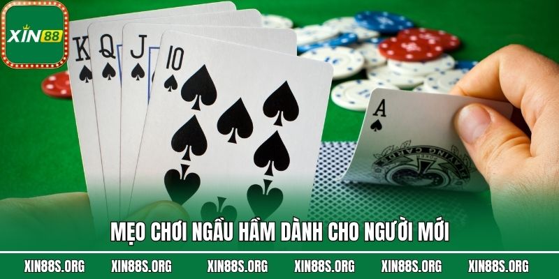 Mẹo chơi Ngầu Hầm dành cho người mới