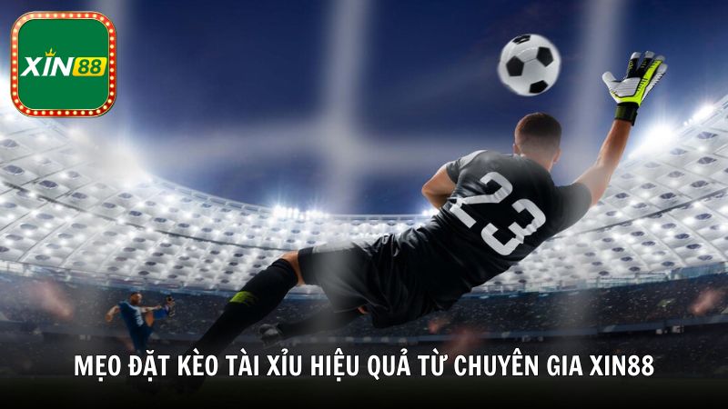 Mẹo đặt kèo Tài Xỉu hiệu quả từ chuyên gia Xin88
