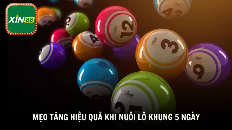 Mẹo tăng hiệu quả khi nuôi lô khung 5 ngày