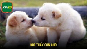 Giải Mã Giấc Mơ Thấy Con Chó