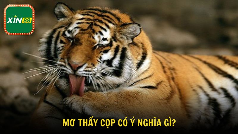 Mơ thấy cọp có ý nghĩa gì?