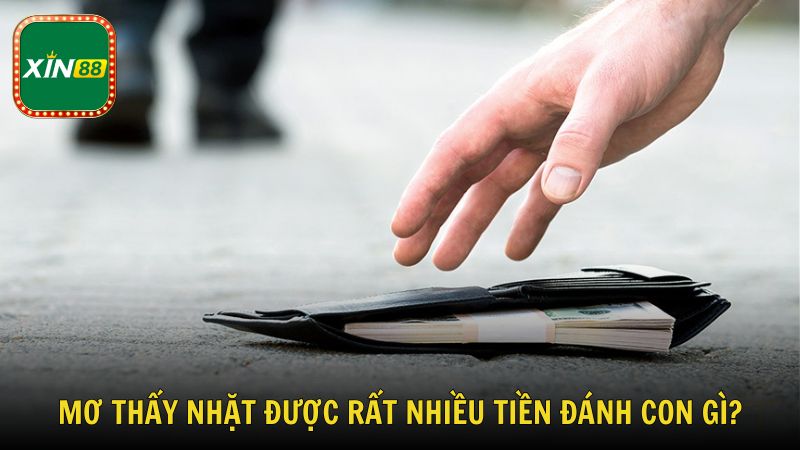 Mơ thấy nhặt được rất nhiều tiền đánh con gì?
