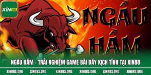 Ngầu Hầm - Trải Nghiệm Game Bài Đầy Kịch Tính Tại Xin88