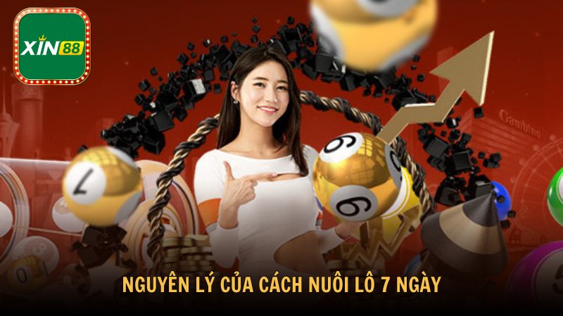 Nguyên lý của cách nuôi lô 7 ngày