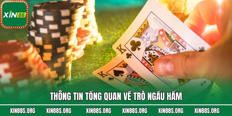 Thông tin tổng quan về trò Ngầu Hầm