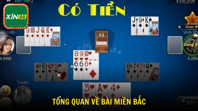 Tổng quan thông tin về bài miền Bắc